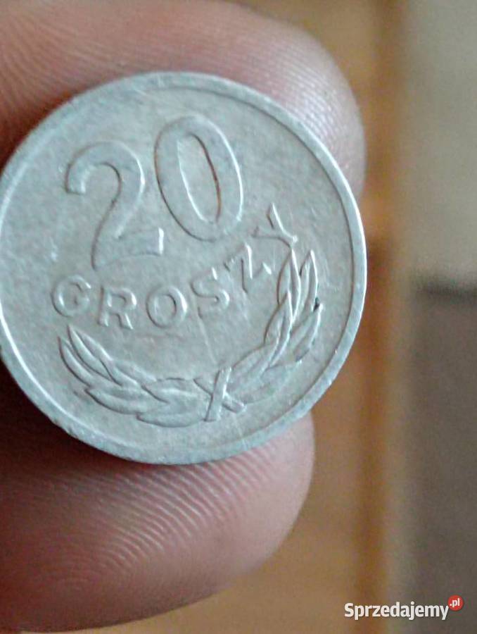 Sprzedam 20 gr 1973 r lubelskie Chełm sprzedam