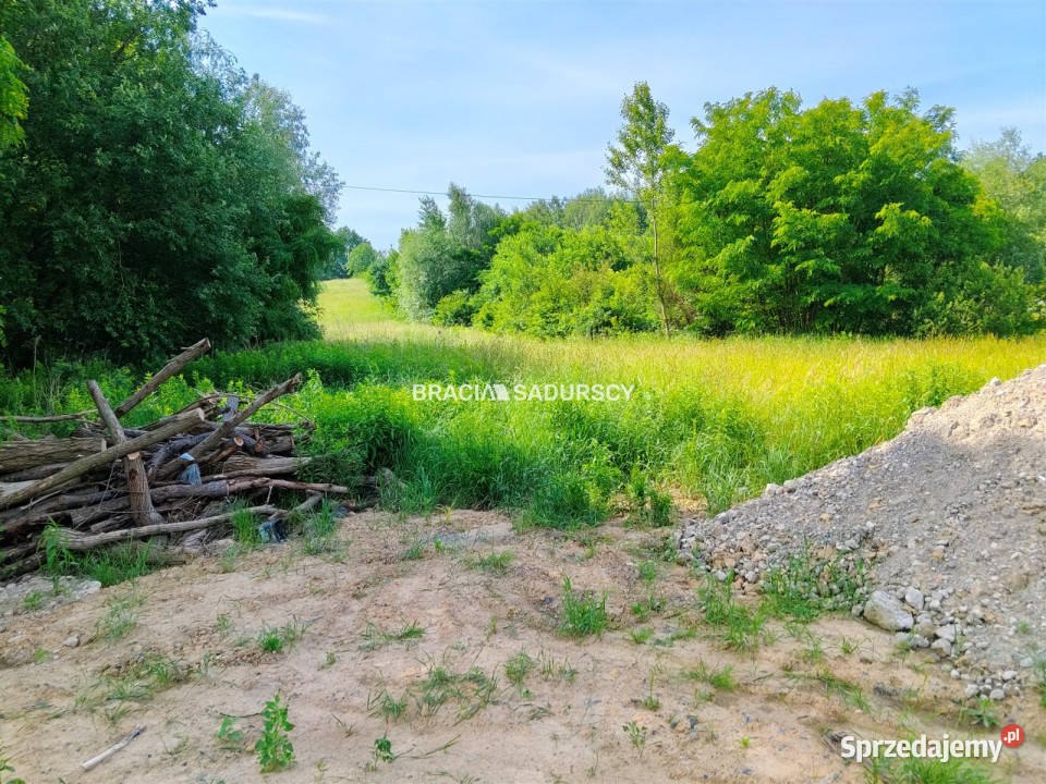 Grunt Bodzanów 18000m2