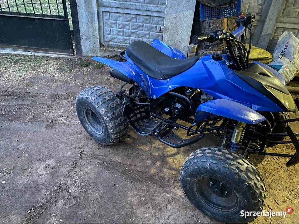 2010 ATV 125