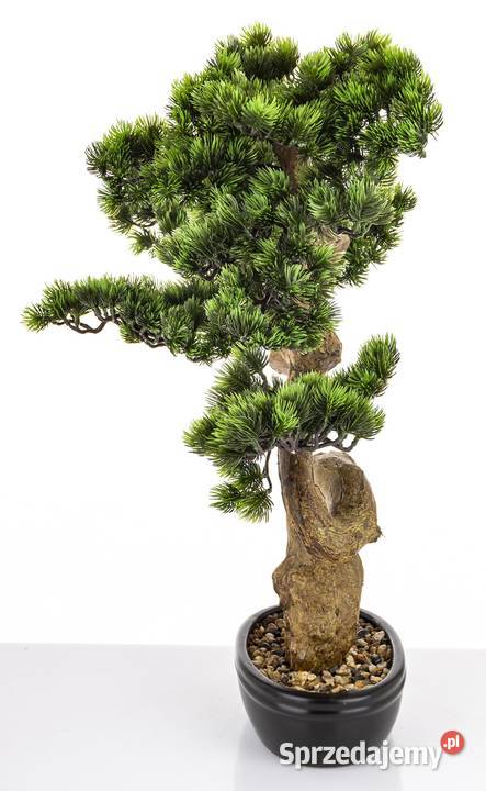 Sztuczne drzewko Bonsai Premium w doniczce Golkowice sprzedam