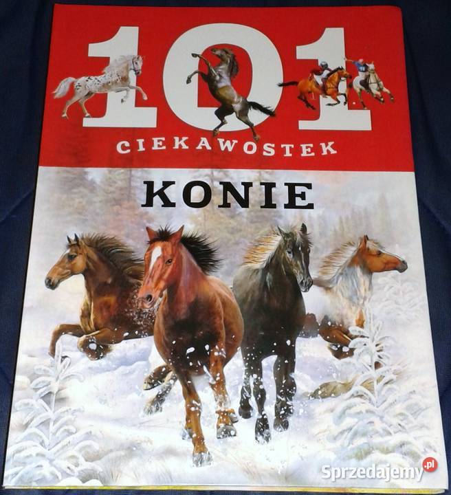 101 ciekawostek Konie Anais Puygrenier lubelskie Chełm