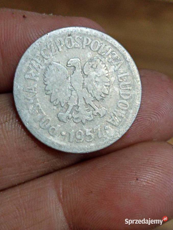 Sprzedam 1 zloty 1957 r Numizmatyka Chełm sprzedam