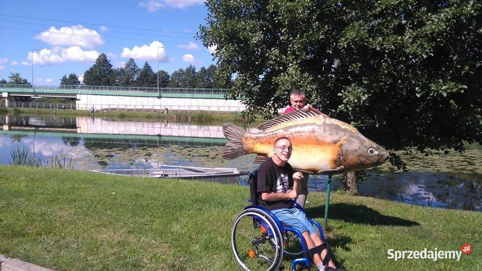 Sprzedam aktywny wózek inwalidzki quickie argon Teolin