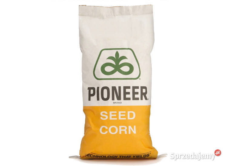 Kukurydza Pioneer P8754 Aquamax FAO K230240