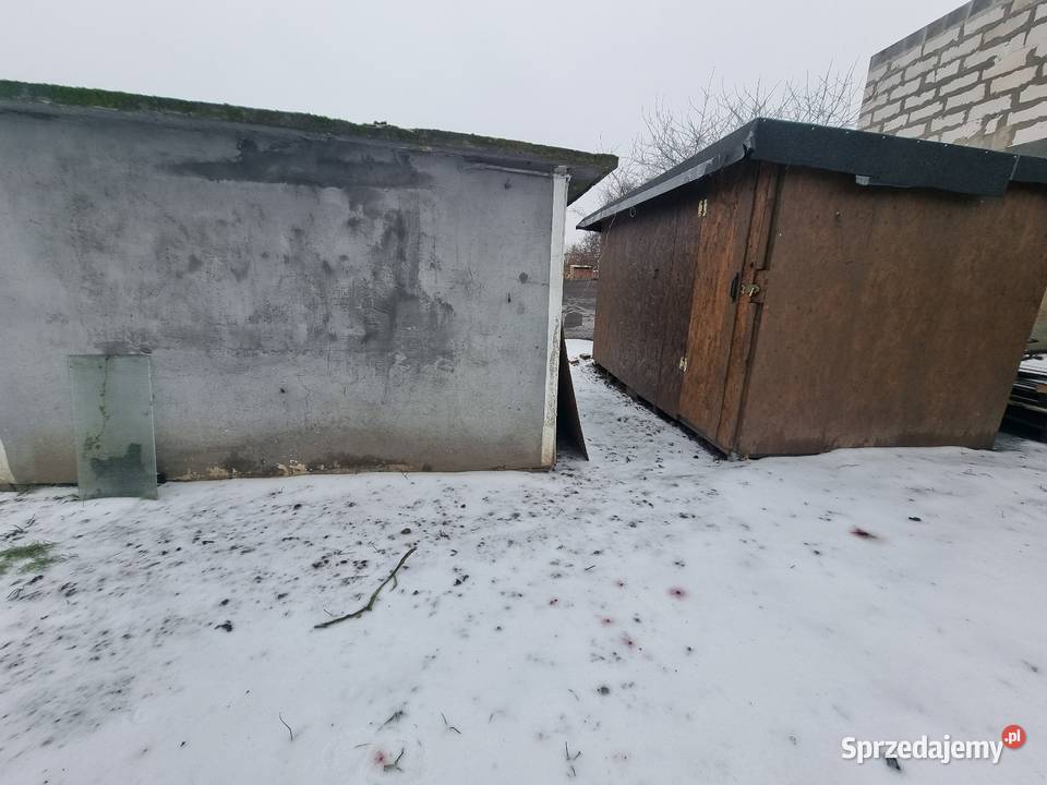 Działka ROD Piechcin woda prąd