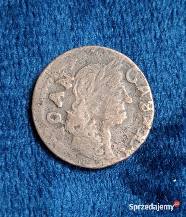 Szeląg litewski Jan II Kazimierz Waza Brześć pomorskie