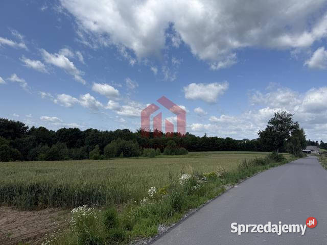 sprzedaży gruntu 3000m2 Brzeziny 50m podkarpackie