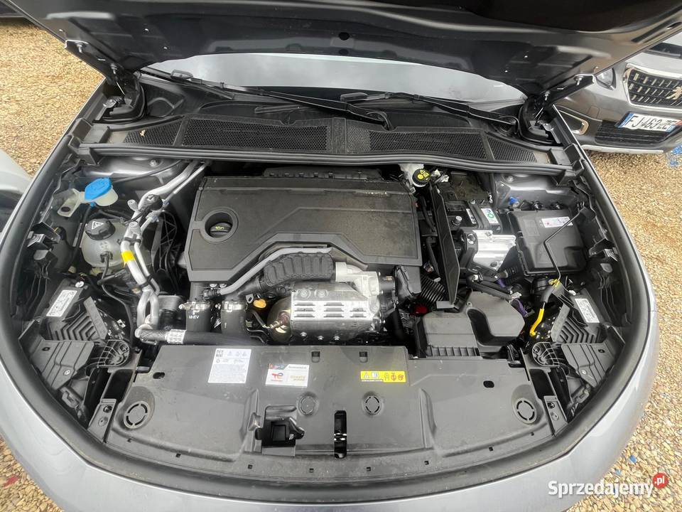 PEUGEOT 308 III 12 PureTech 136 Hybride DCS6 Rok produkcji 2025 Opole