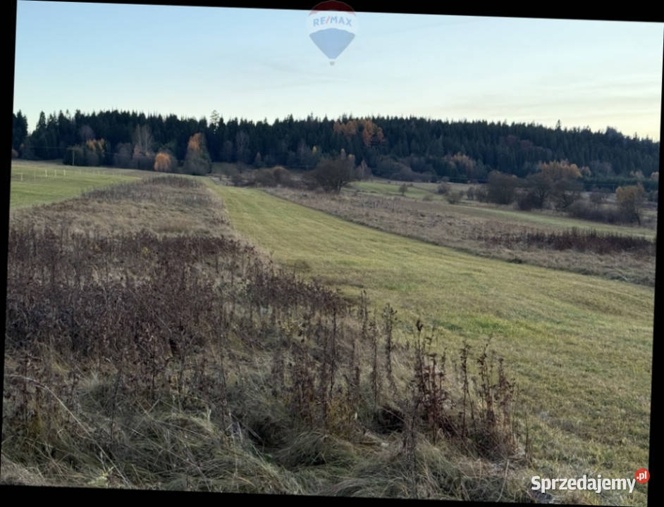 sprzedaży działki Frydman