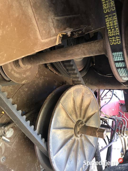 Massey Ferguson 31xp Dronningborg Mikoszewo