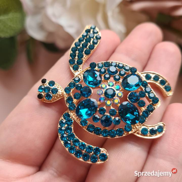 Broszka wodny żółw opolskie