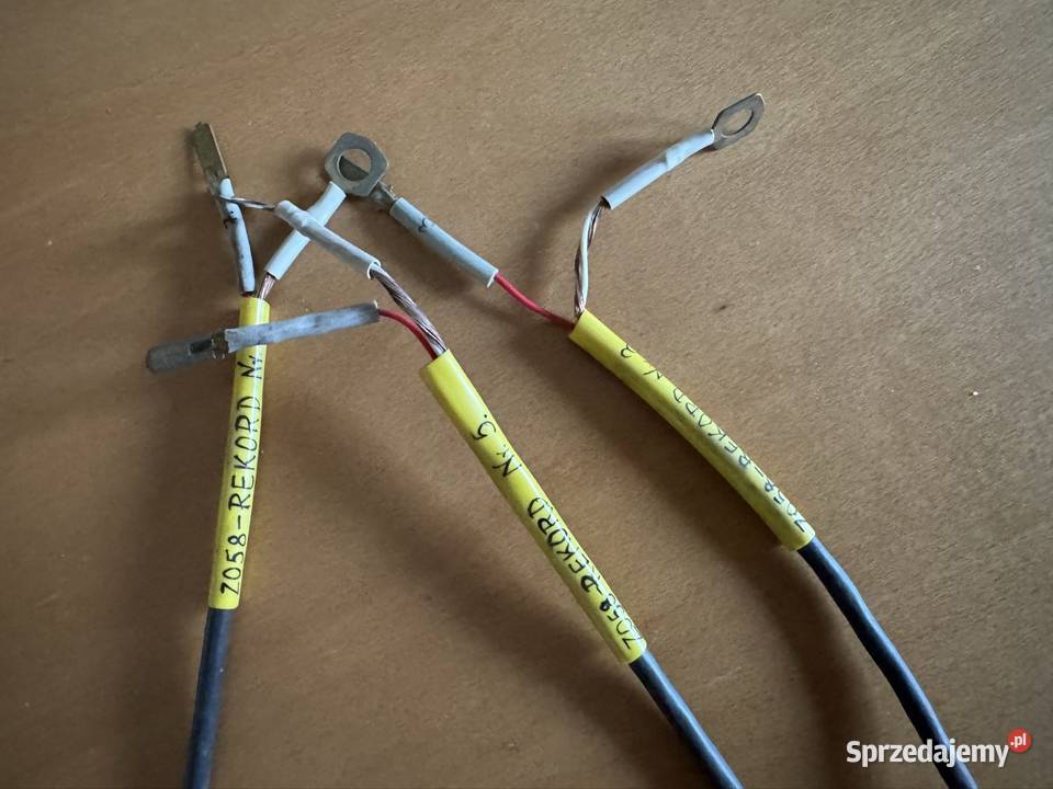 Komputer Bizon Rekord Z 058 Progowy Sygnalizator Wieluń sprzedam