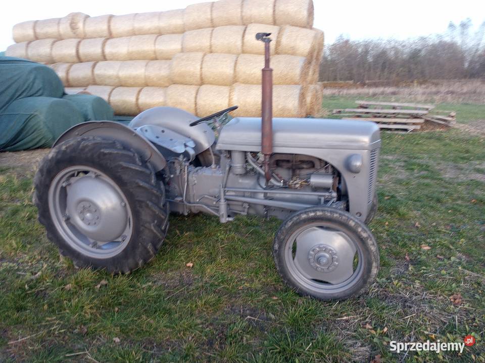 Massey Ferguson mazowieckie Radom