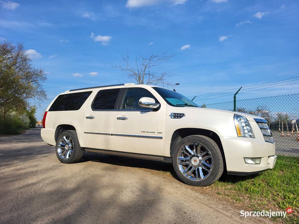 CADILLAC ESCALADE ESV PLATINUM 62 V8 BIAŁA PERŁA Poznań