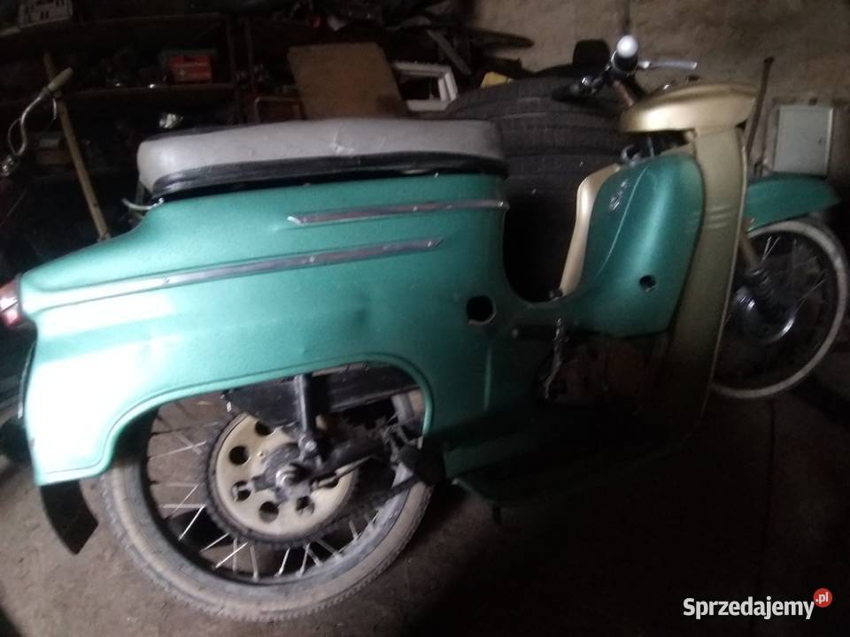 Jawka Jawa wanienka mustang pancerka śląskie Pszów sprzedam