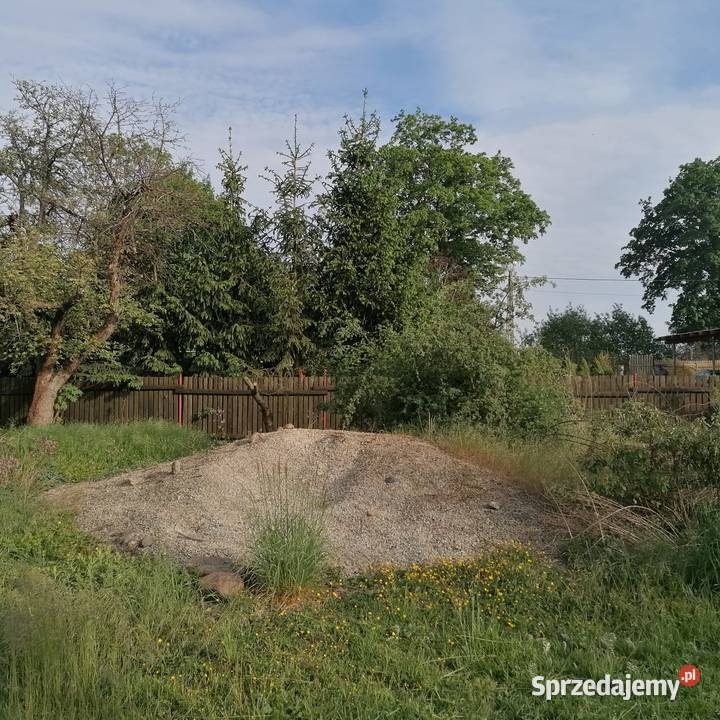 Sprzedam Grys granitowy DALMATYŃCZYK 816 Bolków