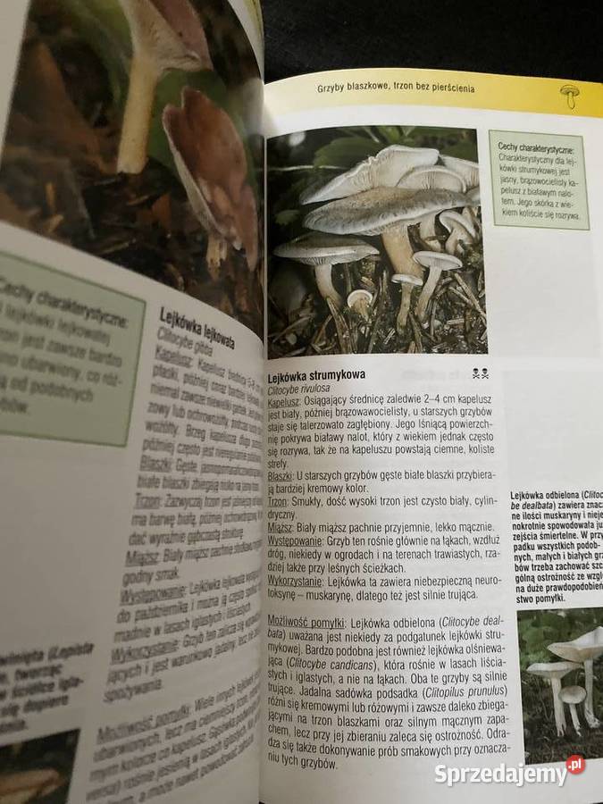 Atlas grzybowRHofrichter Poradniki, albumy i reportaże Lublin