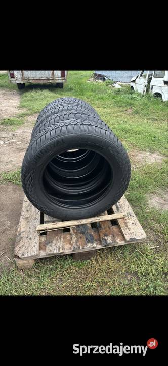 Opony 2055516 Pirelli Samochodowe Skierniewice