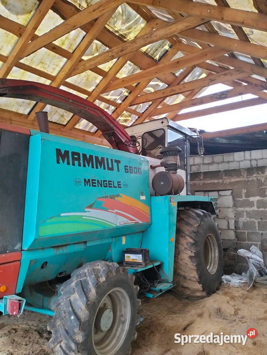 Sieczkarnia Mengele Mammut 6800 podlaskie Augustów sprzedam