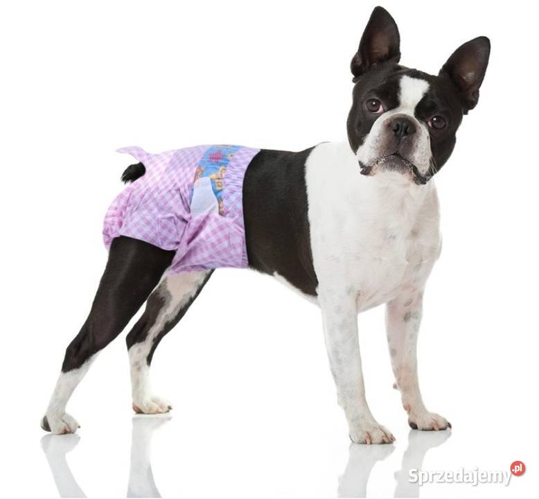 Pieluchy psów wskaźnik wilgotności rozmiar M Domaszczyn