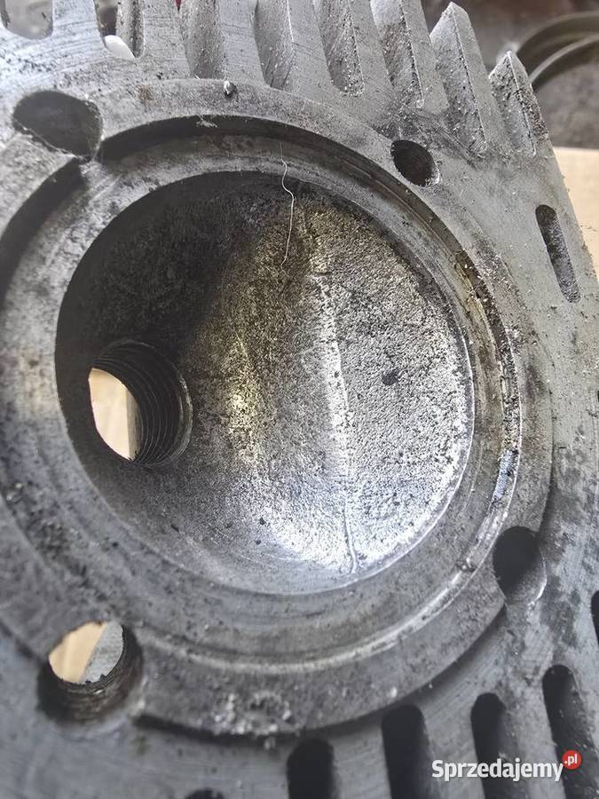 Glowica jawka Gorzów Wielkopolski