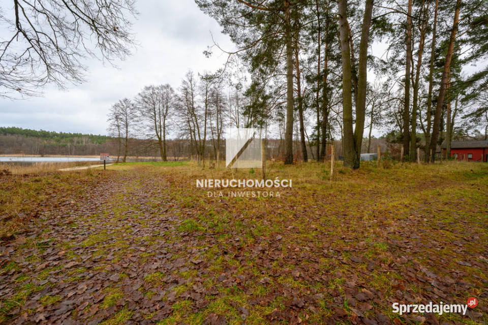 Działka brzegiem jeziora Postomsko 1844 mkw Lubniewice sprzedam