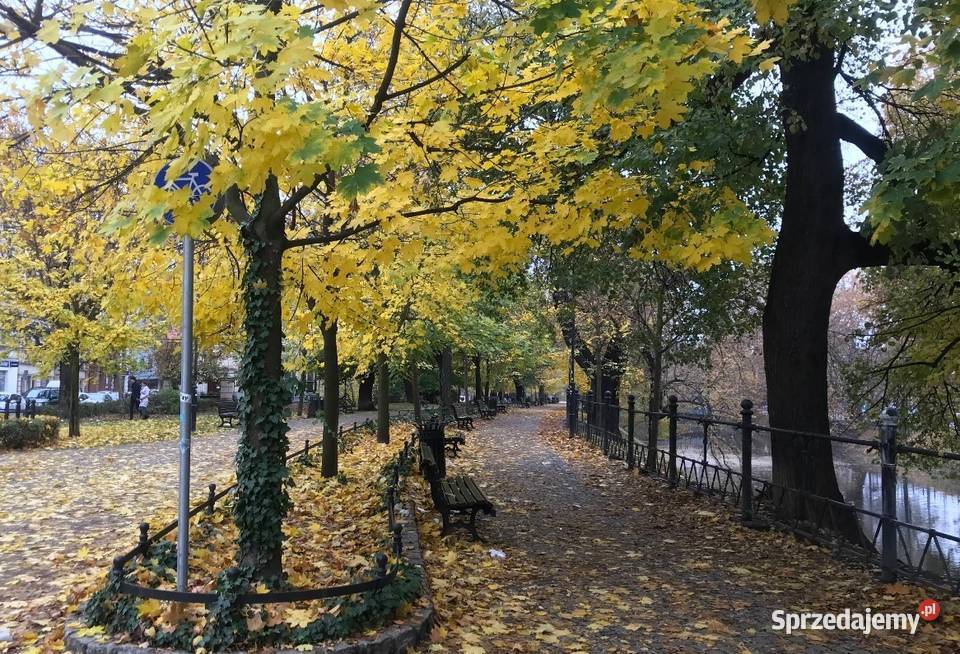 2pok 58met Podwale PIWNICA Wrocław