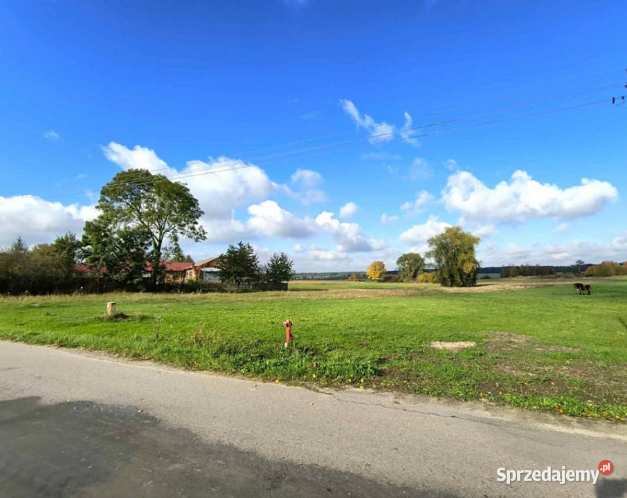 Grunt sprzedam Borków 11200m2