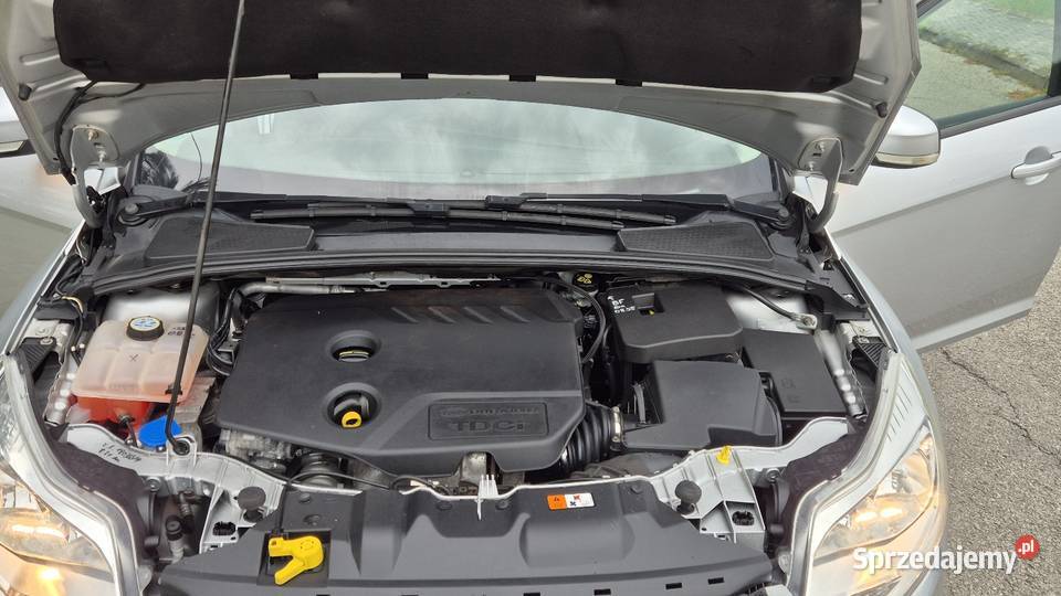 FORD FOCUS 16 HDI ZAREJESTROWANY Z NIEMIEC KLIMA srebrny Ford sprzedam