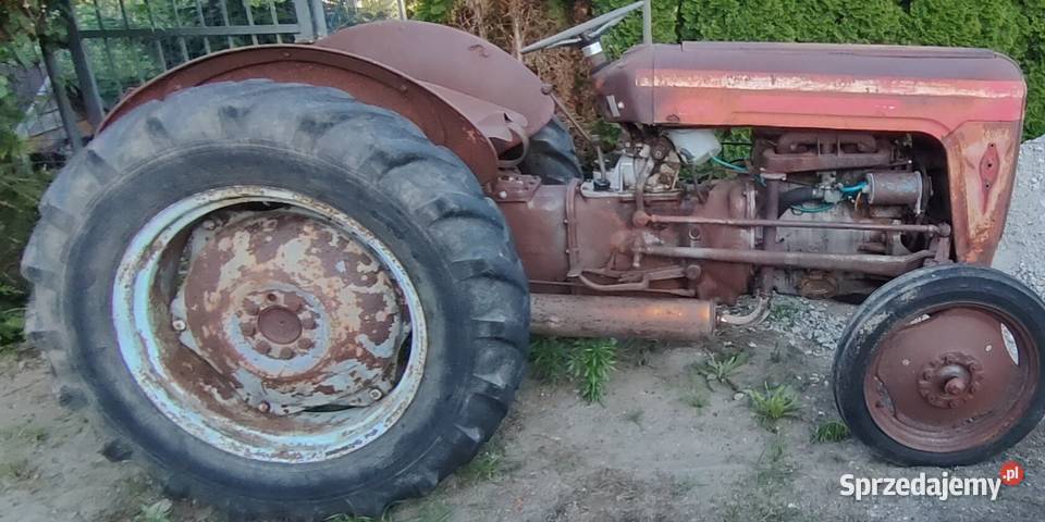 Massey Ferguson MF 35 Kornatowo