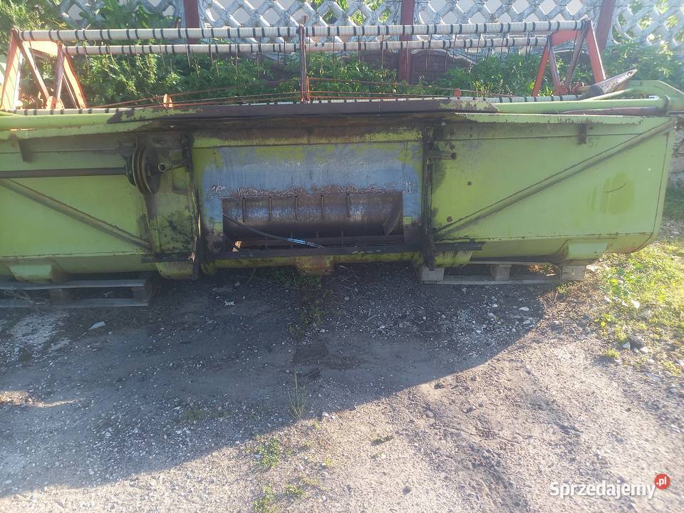 Kombajn zbożowe Claas świętokrzyskie Gnojno