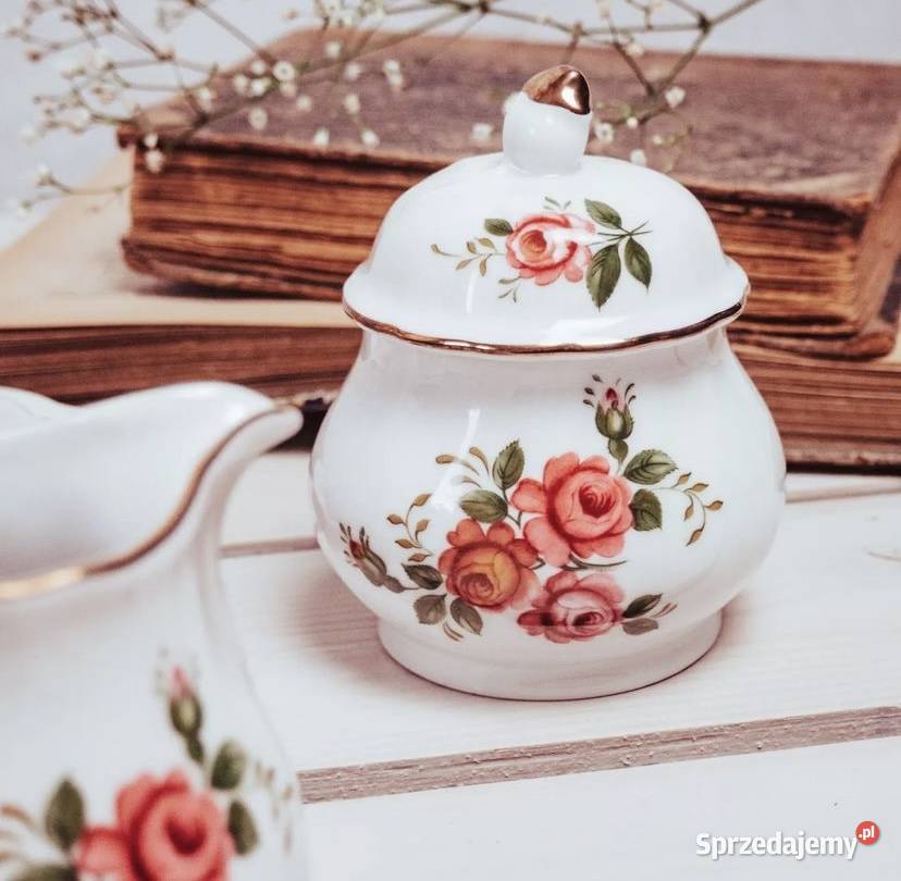 Zestaw 10 sztuk porcelany Poznań