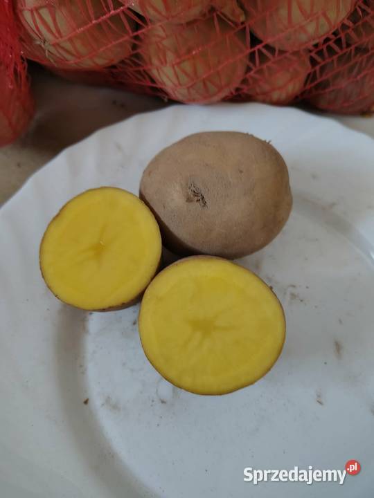 Sprzedam ziemniaki Małochwiej Mały