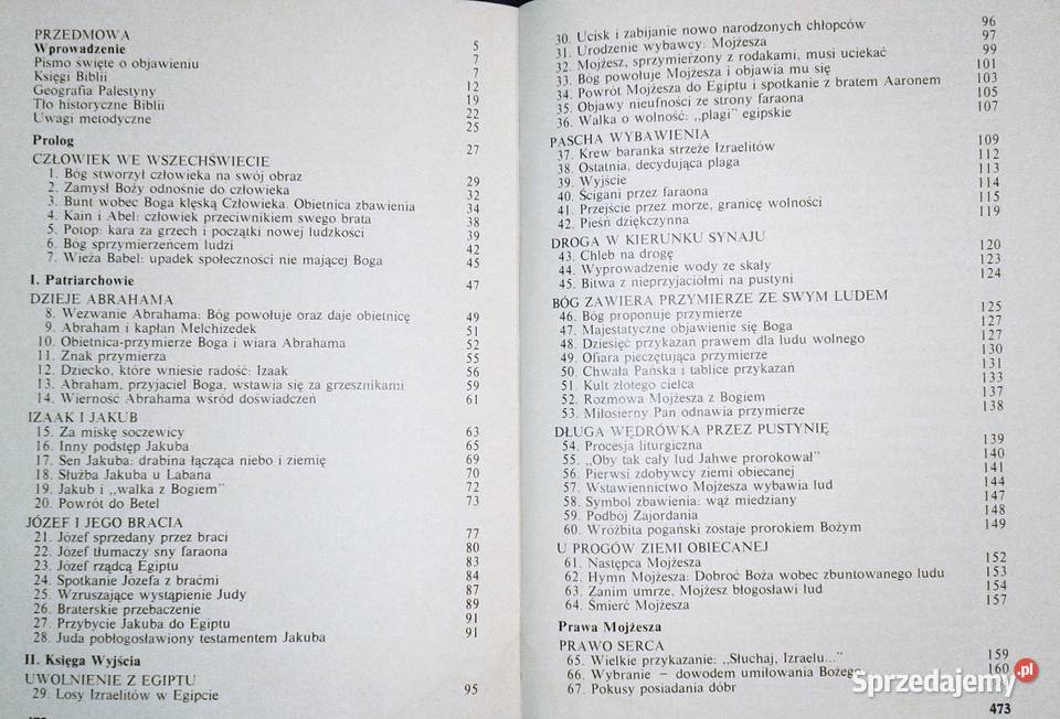 Stary Testament Historia Zbawienia Enrico