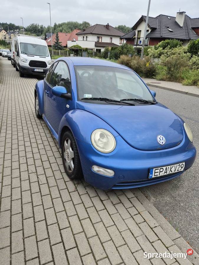 VW Beetle Gdańsk