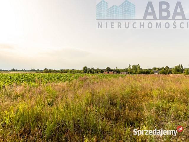 Sprzedam działki budowlane Bielawy obręb Sokółki