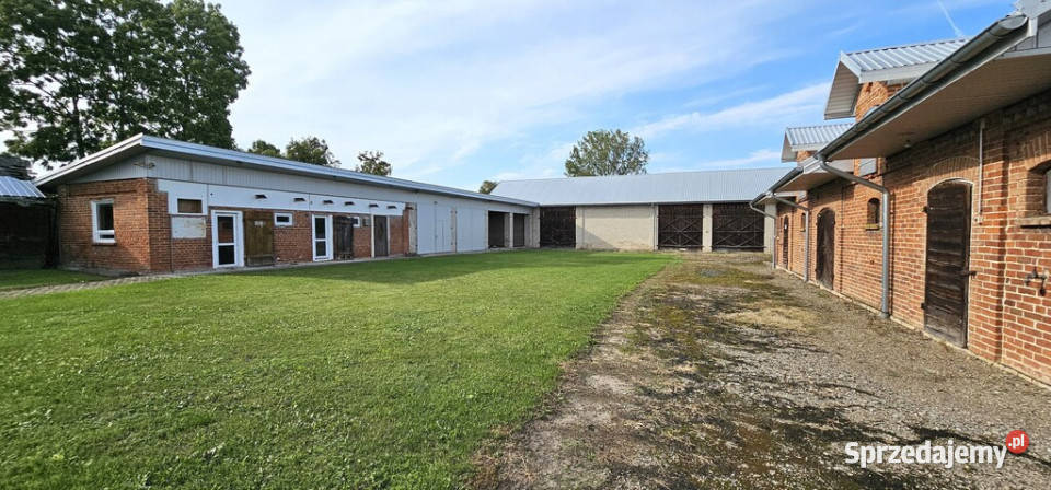 Budynki gospodarcze z dużą działką Kolonia Gołąb Gołąb-Kolonia