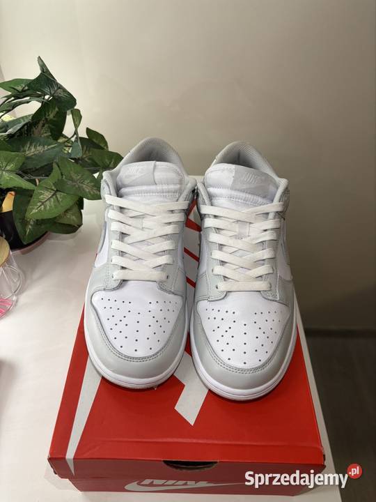 Nike dunk low Rzeszów