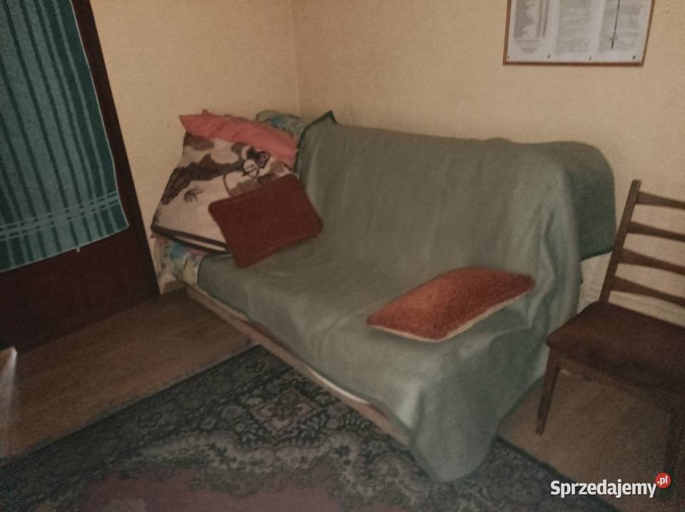 SIEDLISKO DWA DOMY DWIE DZIAŁKI CAŁOROCZNE mazowieckie Chynów sprzedam