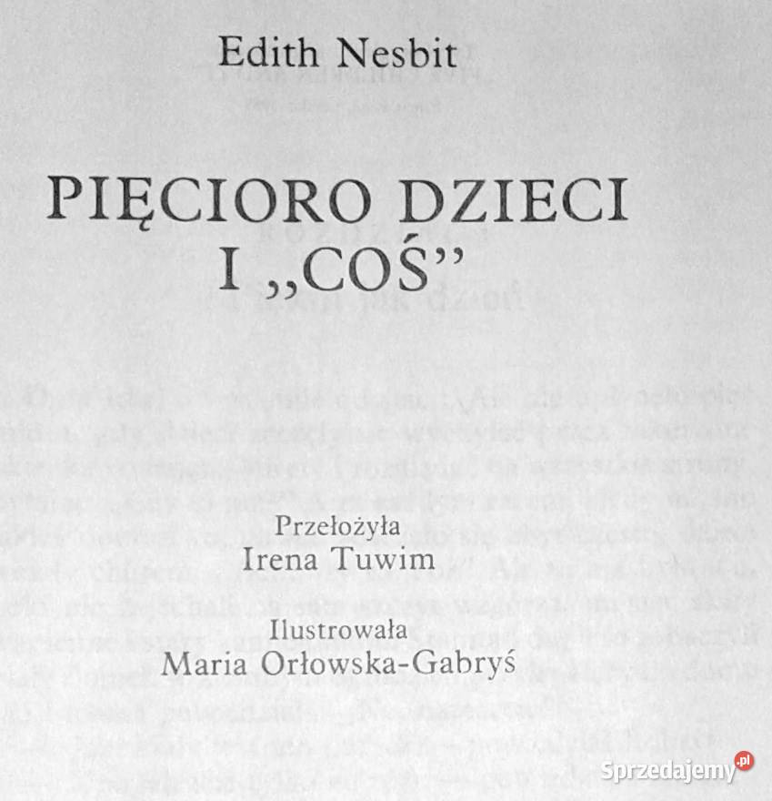 Pięcioro dzieci i coś Edith Nesbit Chełm