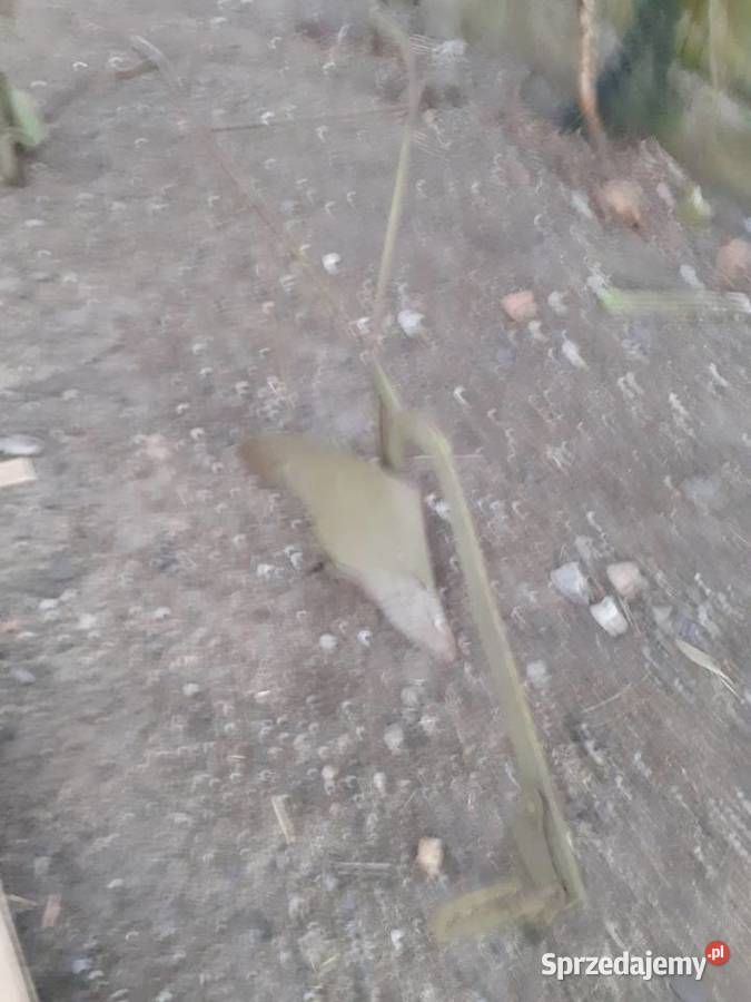 Mam na sprzedaż maszyny rolnicze Gawrony