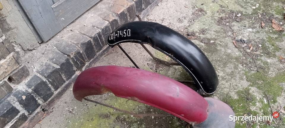 wsk wfm błotnik wielkopolskie