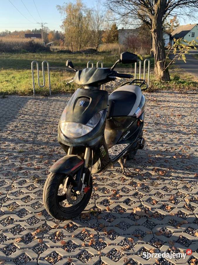 Peugeot vivacity 50 2t silver sport śląskie Pszczyna