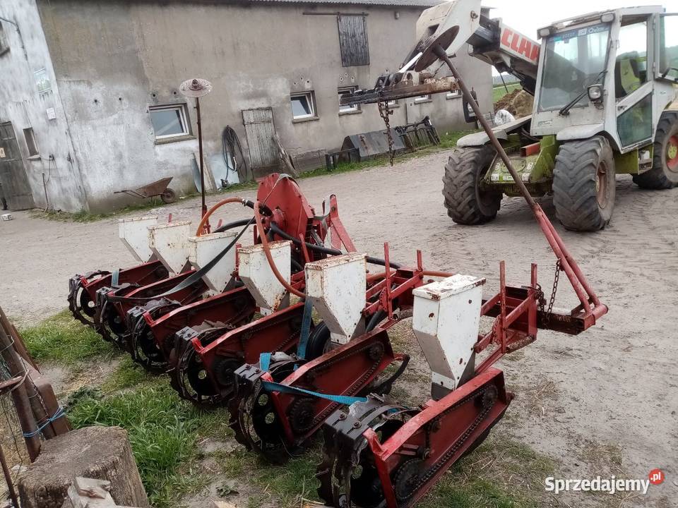 Siewnik do kukurydzy Samoklęski Małe