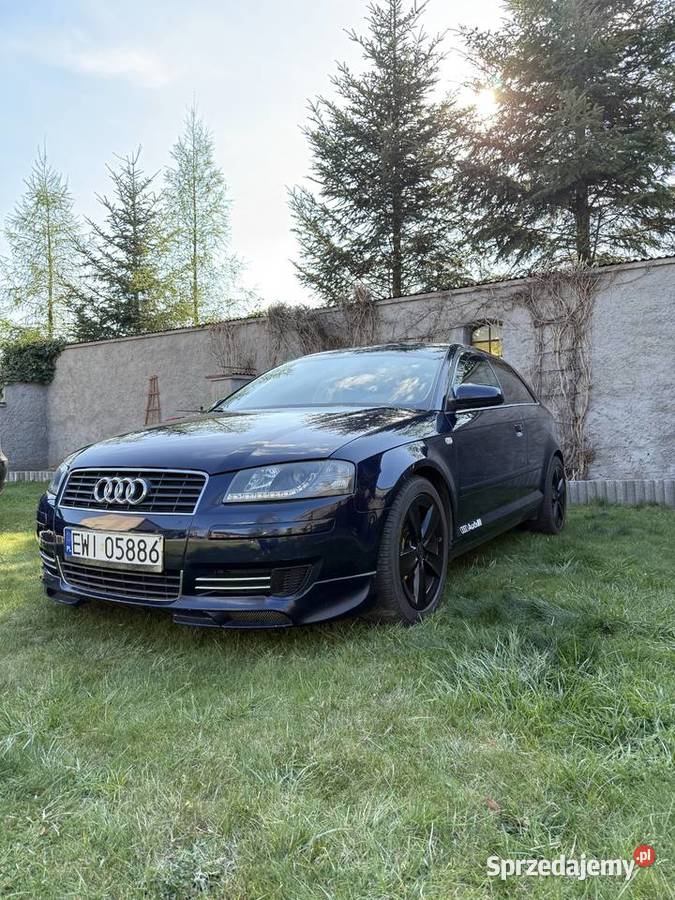 AUDI A3 8P 16 mpi 3drzwiowe 2003 r A3 Motoryzacja Wieluń