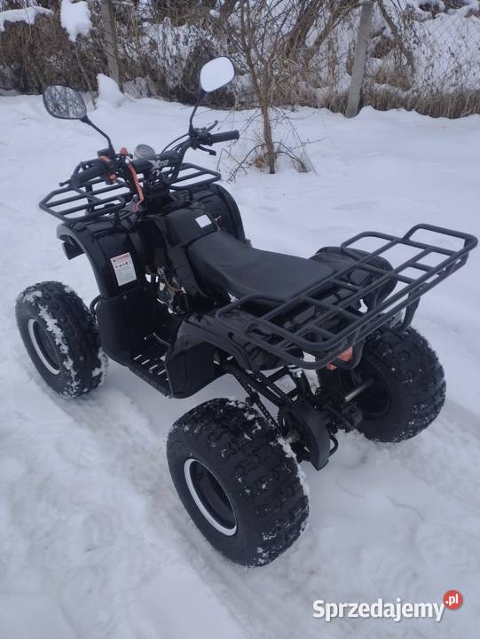 Quad 125cc Xtr Hammer XXL koła 8 Pilot Zapalanie 125cm3 Motoryzacja sprzedam