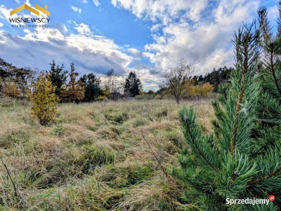 Na sprzedaż działki bud Sztumskie Pole 1146m2