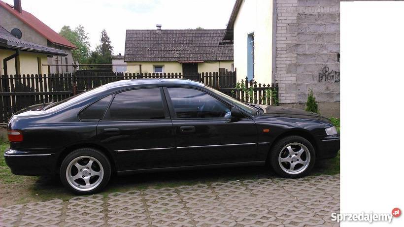 Honda accord V Ostrów
