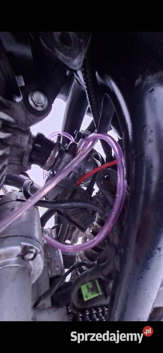 cross 250300 Nidzica