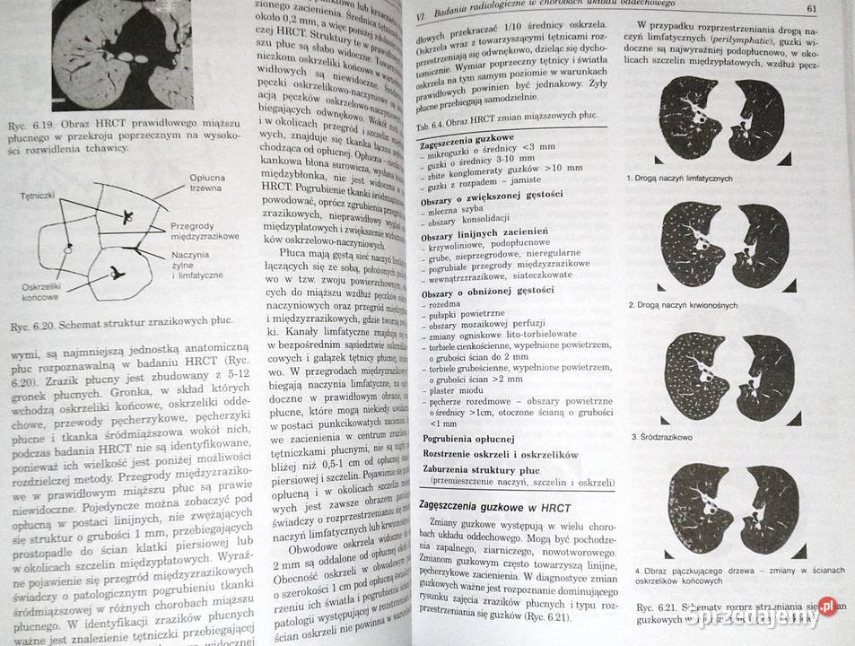 Pneumonologia i alergologia praktyczna Ryszarda lubelskie Chełm